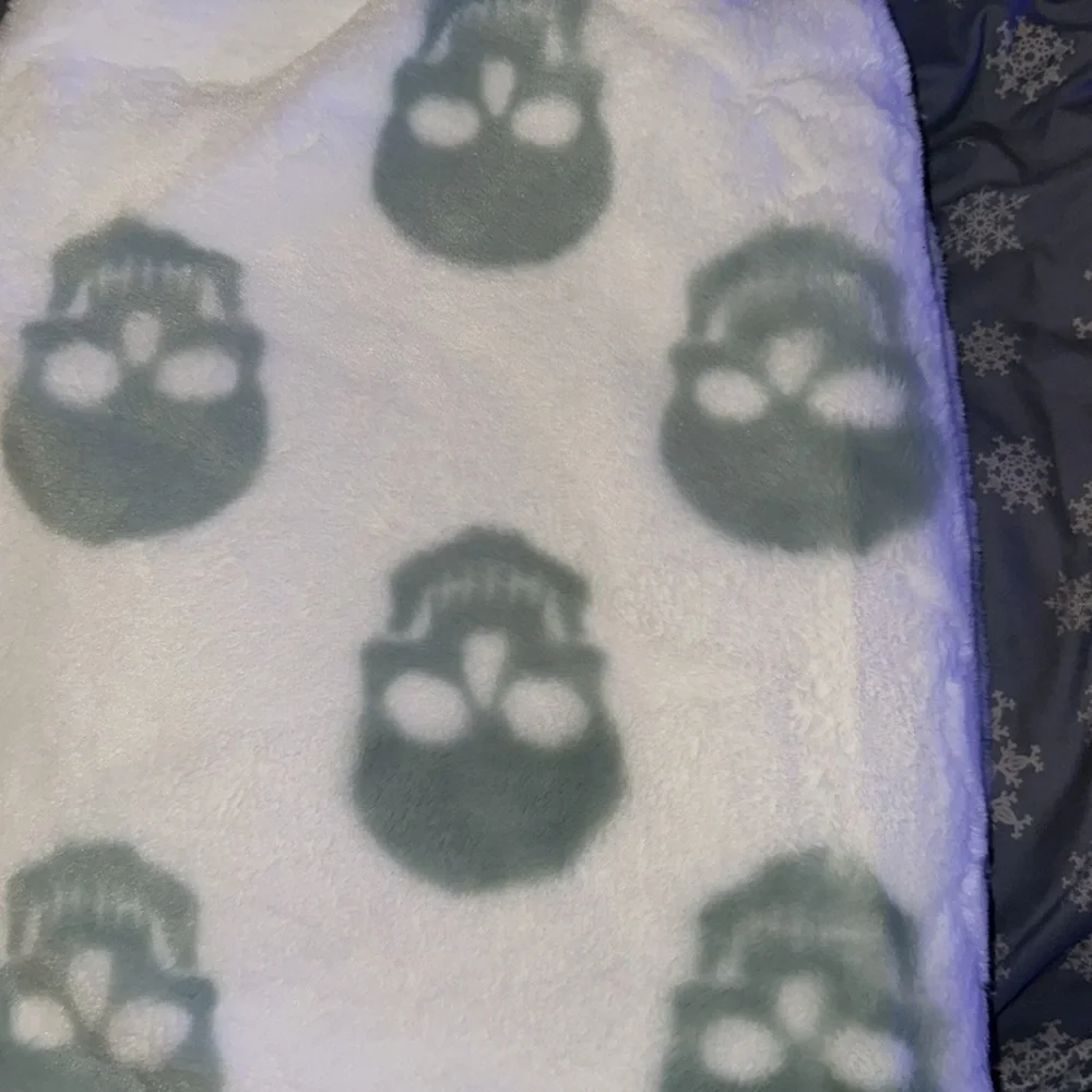 NWT Rachel Zoe teal /green Skull Halloween Blanket Throw